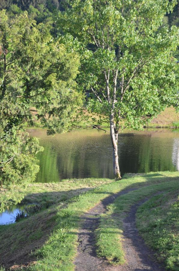 Au Bord De L'Eau Appartement 50 M2 Chambon-sur-Voueize Buitenkant foto
